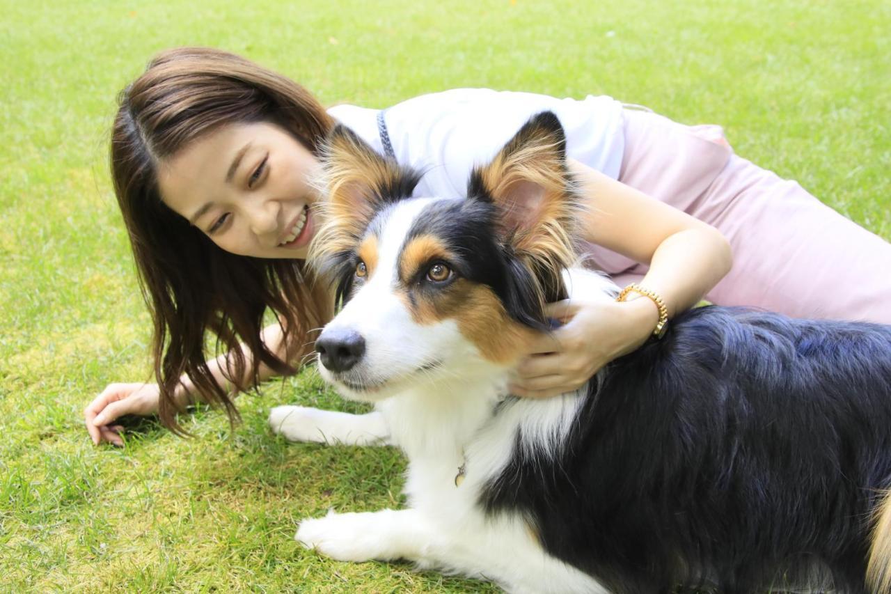 Yutorelo Tateshina Hotel With Dogs Chino Luaran gambar